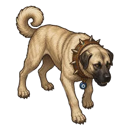 Kangal